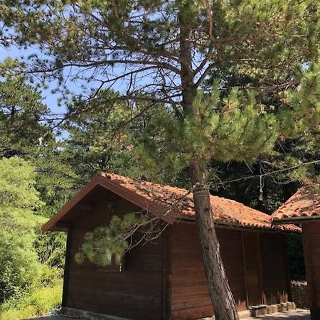 הוילה Dukat The Old Man'S Chalet מראה חיצוני תמונה